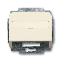 Busch-Jaeger 1758-212 Zentralscheibe