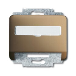 Busch-Jaeger 1758-21 Zentralscheibe