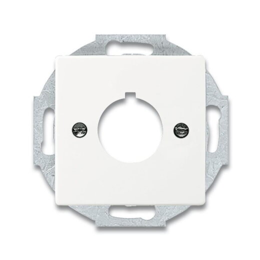 Busch-Jaeger 2533-884 Zentralscheibe