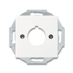 Busch-Jaeger 2533-884 Zentralscheibe