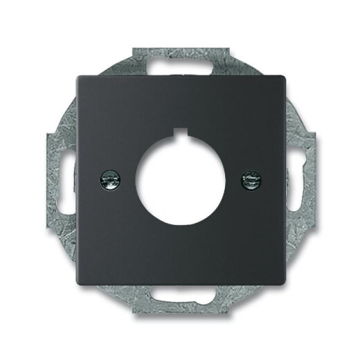 Busch-Jaeger 2533-885 Zentralscheibe