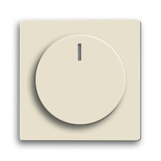 Busch-Jaeger 6540-82-102 Zentralscheibe