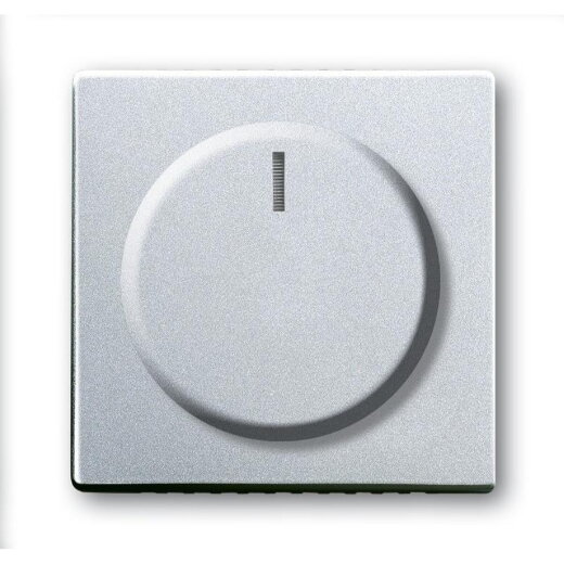 Busch-Jaeger 6540-83-102 Zentralscheibe