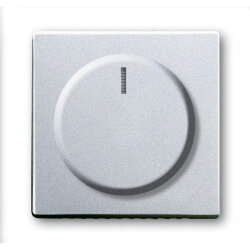 Busch-Jaeger 6540-83-102 Zentralscheibe