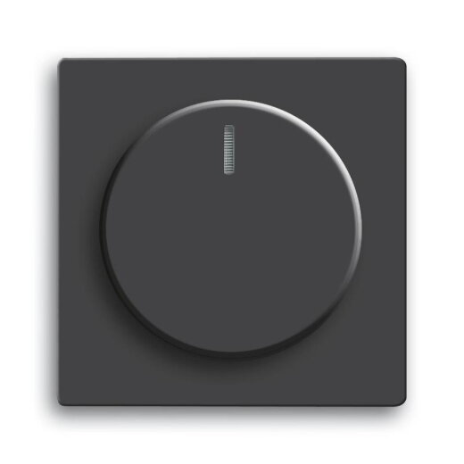 Busch-Jaeger 6540-885-102 Zentralscheibe