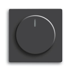 Busch-Jaeger 6540-885-102 Zentralscheibe