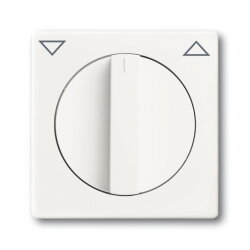 Busch-Jaeger 1740-884 Zentralscheibe