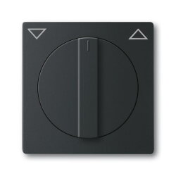 Busch-Jaeger 1740-885 Zentralscheibe