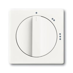 Busch-Jaeger 2542 DR/02-884 Zentralscheibe