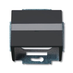 Busch-Jaeger 1758-885 Zentralscheibe