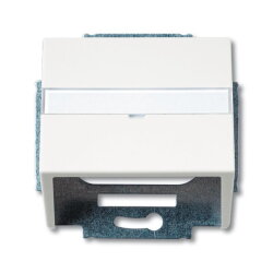 Busch-Jaeger 1758-884 Zentralscheibe