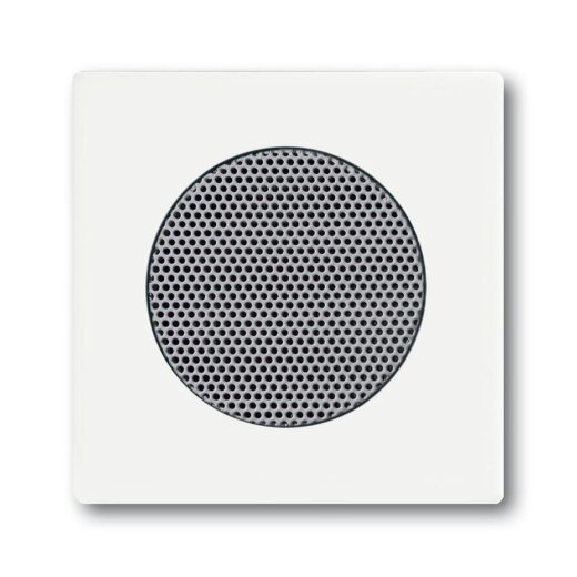 Busch-Jaeger 8253-884 Zentralscheibe