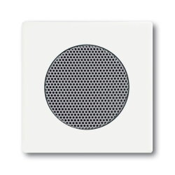 Busch-Jaeger 8253-884 Zentralscheibe