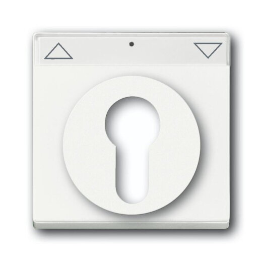 Busch-Jaeger 1755 SL/PZ-884-101 Zentralscheibe