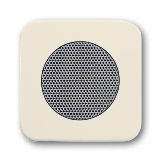 Busch-Jaeger 8253-212 Zentralscheibe