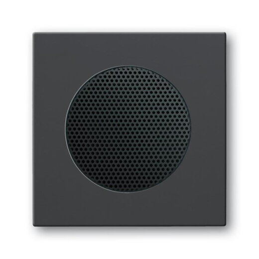 Busch-Jaeger 8253-81 Zentralscheibe