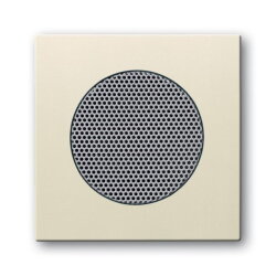 Busch-Jaeger 8253-82 Zentralscheibe