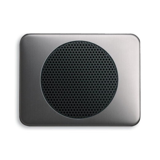 Busch-Jaeger 8253-20 Zentralscheibe