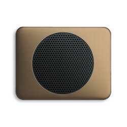 Busch-Jaeger 8253-21 Zentralscheibe