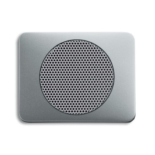 Busch-Jaeger 8253-266 Zentralscheibe