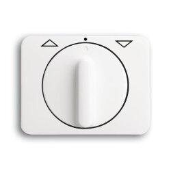 Busch-Jaeger 1740 DR-24G alpha nea Zentralscheibe