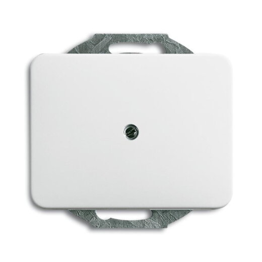 Busch-Jaeger 1742-24G alpha nea Zentralscheibe