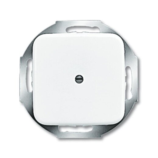 Busch-Jaeger 2527-214 Zentralscheibe