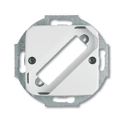 Busch-Jaeger 2549-214 Zentralscheibe