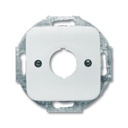 Busch-Jaeger 2533-214 Zentralscheibe