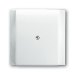 Busch-Jaeger 1749-74 impuls Zentralscheibe