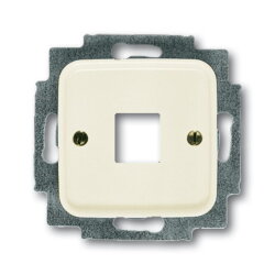 Busch-Jaeger 2561-212 Zentralscheibe