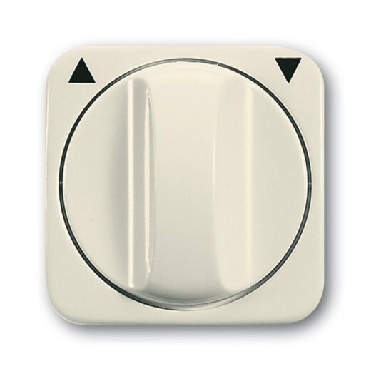 Busch-Jaeger 2542 DR-212 Zentralscheibe