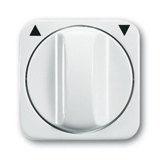 Busch-Jaeger 2542 DR-214 Zentralscheibe