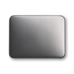 Busch-Jaeger 6541-20 Zentralscheibe