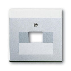 Busch-Jaeger 1803-83 Zentralscheibe