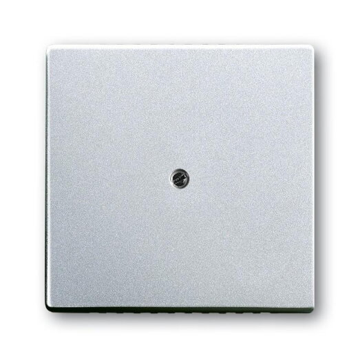 Busch-Jaeger 1745-83 Zentralscheibe