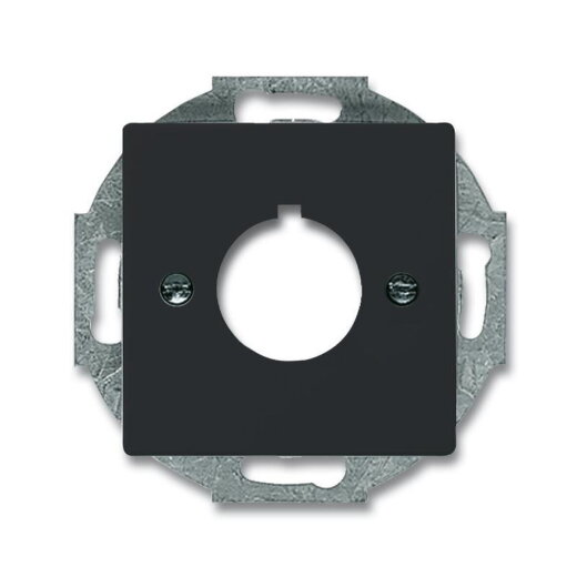 Busch-Jaeger 2533-81 Zentralscheibe