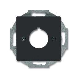 Busch-Jaeger 2533-81 Zentralscheibe