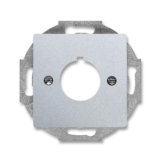 Busch-Jaeger 2533-83 Zentralscheibe