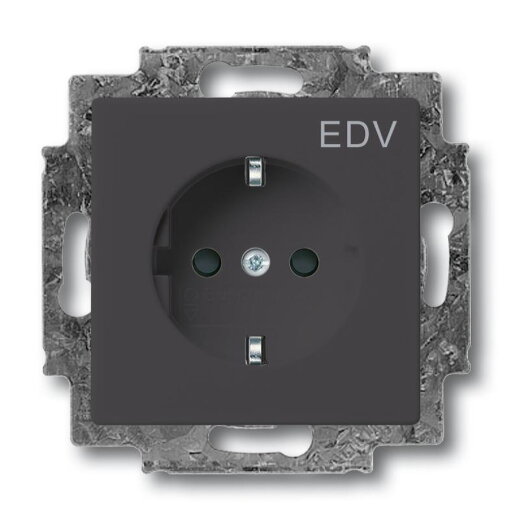 Busch-Jaeger 20 EUCKS/DV-81 Zentralscheibe