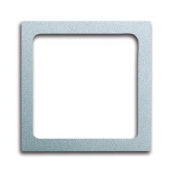 Busch-Jaeger 1716-83 Zentralscheibe