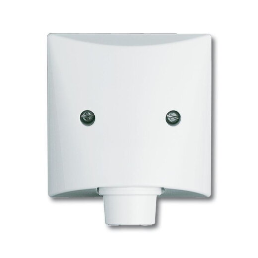 Busch-Jaeger 2133-32 AW44 Zentralscheibe