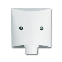 Busch-Jaeger 2133-32 AW44 Zentralscheibe