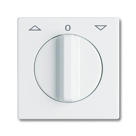 Busch-Jaeger 2142 DR-32 Zentralscheibe