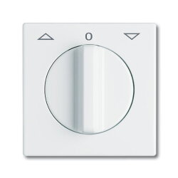 Busch-Jaeger 2142 DR-32 Zentralscheibe