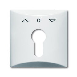 Busch-Jaeger 2155 PZ-32 AW44 Zentralscheibe