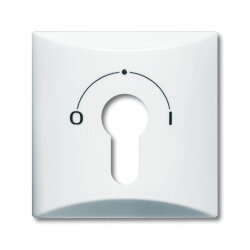 Busch-Jaeger 2155 SLPZ-34 AW44 Zentralscheibe