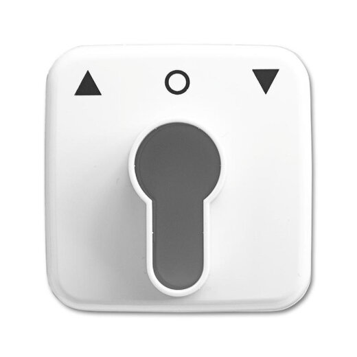 Busch-Jaeger 2557 PZ-214-101 Zentralscheibe