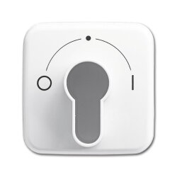 Busch-Jaeger 2557 SLPZ-214-101 Zentralscheibe