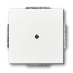 Busch-Jaeger 1742-84 Zentralscheibe